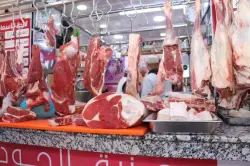 أسعار اللحوم الحمراء بالمغرب مرشحة للاستقرار إلى غاية نهاية السنة والعودة إلى أثمنة ما قبل الجفاف مستحيلة
